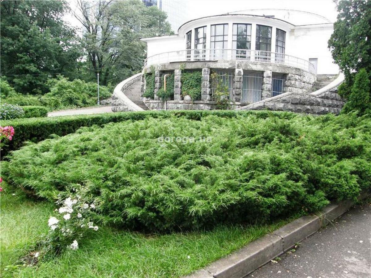 Kyiv Top Location 60M2 Apt In Old City Fast Wifi Selfchekin Exterior photo